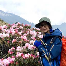 王郭皇 其他照片